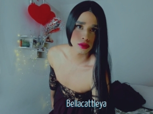 Bellacattleya