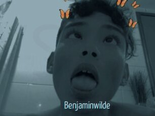 Benjaminwilde