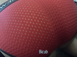 Bicub