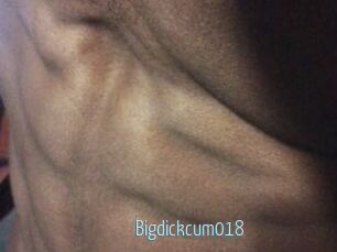 Bigdickcum018