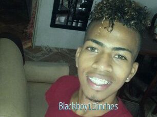 Blackboy12inches