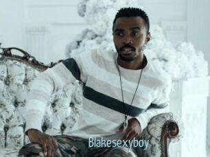 Blakesexyboy
