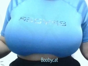 Boobycat