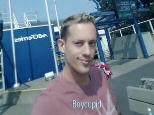 Boycupid