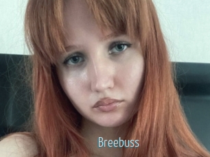 Breebuss