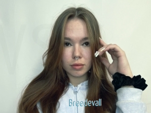 Breedevall