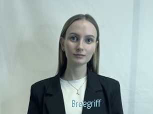 Breegriff