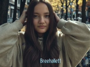 Breehallett