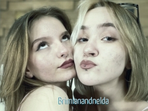 Brimlanandnelda