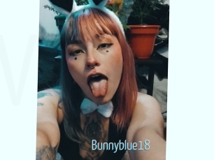 Bunnyblue18