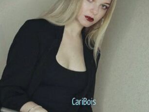 CariBois