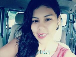 Carlina23