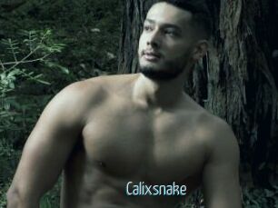 Calixsnake