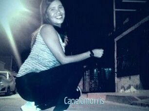 Canelamorris