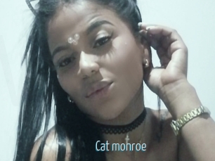 Cat_monroe