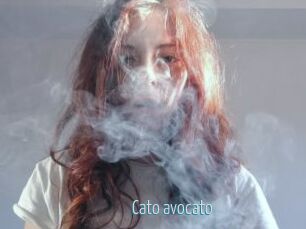 Cato_avocato