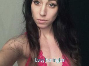 Daisy_Harrington