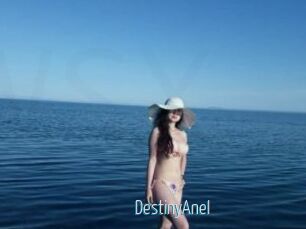 DestinyAnel