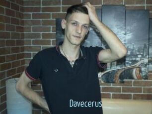 Davecerus