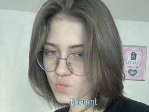 Dinamint