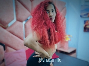 Divhacarrillo