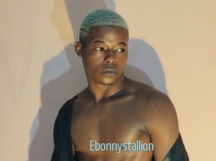 Ebonnystallion