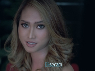 Elisecam