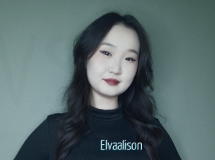 Elvaalison