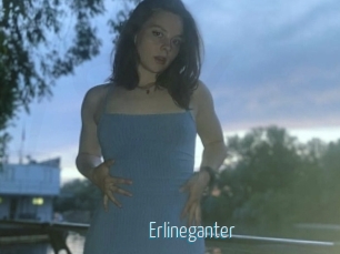 Erlineganter