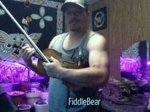 FiddleBear