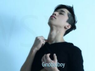 Ginobadboy