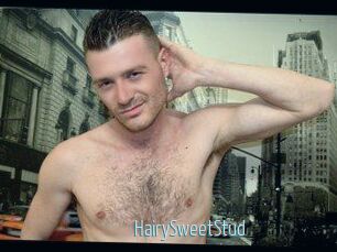 HairySweetStud