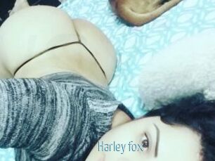 Harley_fox