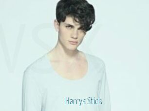 Harrys_Stick