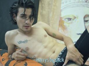 Harrys_bigstick