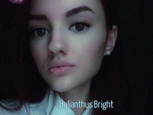 Helianthus_Bright