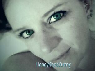 HoneyRopeBunny