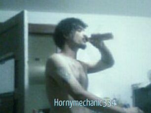 Hornymechanic334