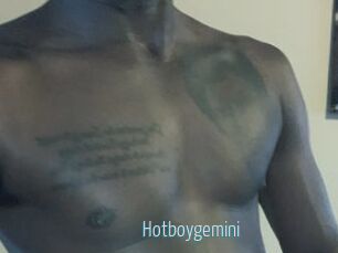 Hotboygemini