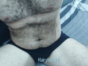 Hairybear18