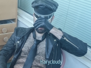 Hairycloudy