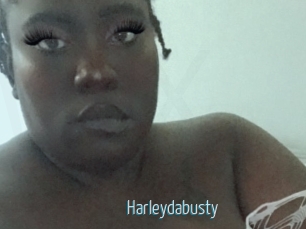 Harleydabusty