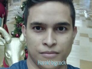 Harold_bigcock