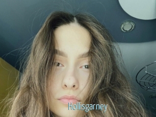 Hollisgarney