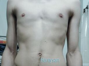 Hornysam