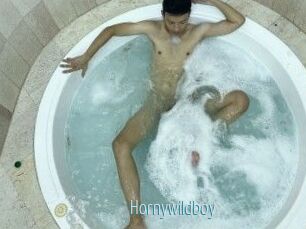 Hornywildboy