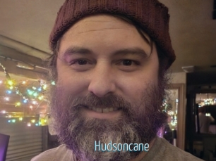 Hudsoncane