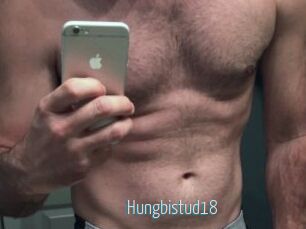 Hungbistud18