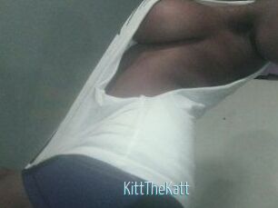 Kitt_The_Katt