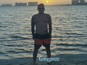 Kinkygonzo